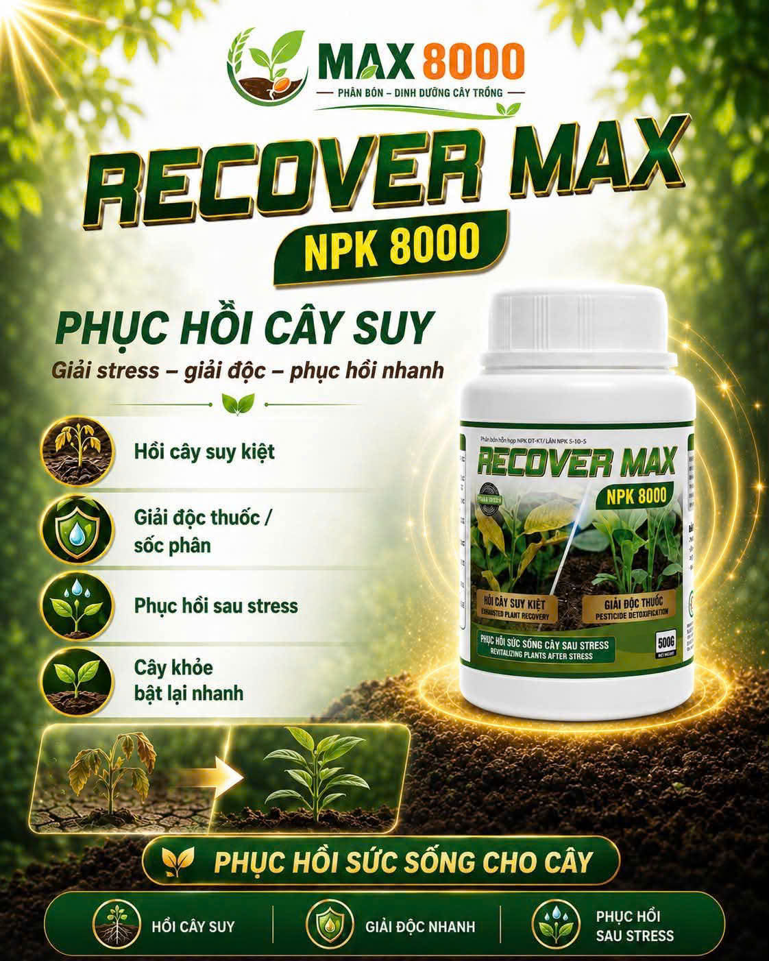 Phân bón Recover Max NPK 8000 hồi cây suy kiệt giải độc thuốc